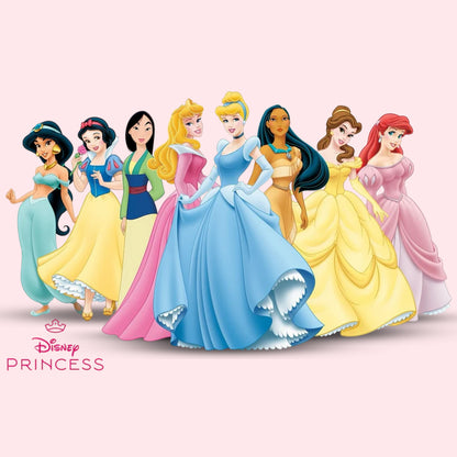 Disney Princess Party Box